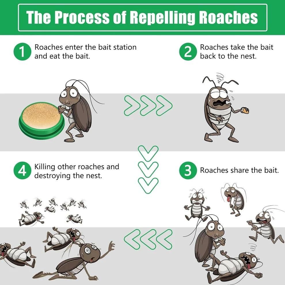 Cockroach Killer Gel – B1G1 Deal